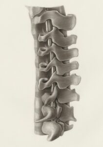 Photo by Europeana on Unsplash